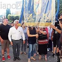 bandiera18-81