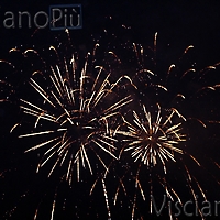 Bandiera19-14