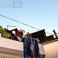 Bandiera19-211