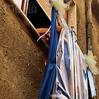 Bandiera19-2519