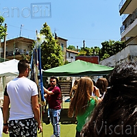 Bandiera19-347