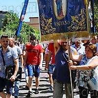 Bandiera19-431