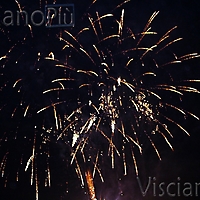 Bandiera19-5