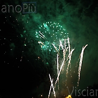 Bandiera19-81